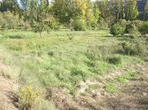 Finca rústica en calle Paraje Casa Gil Polígono 14 Parcela 229 Partida De
